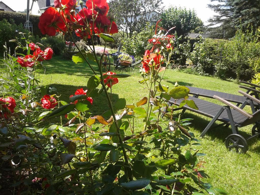 Fewo Sonnenblume Daun Zewnętrze zdjęcie