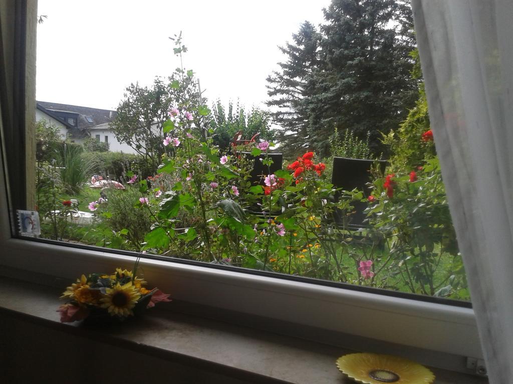 Fewo Sonnenblume Daun Zewnętrze zdjęcie